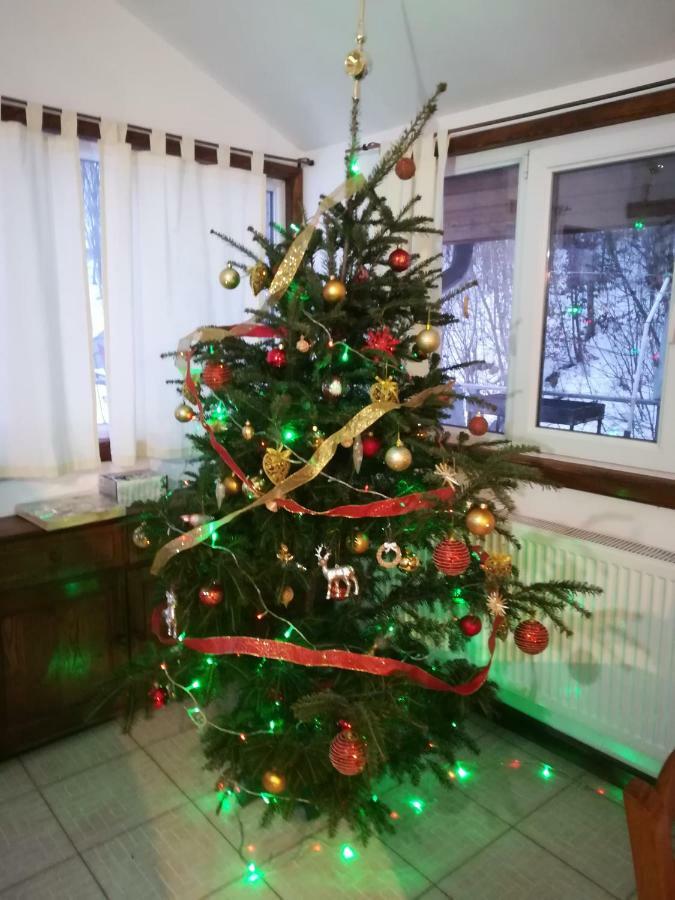 Vila Margareta Curtea de Argeş Exteriör bild