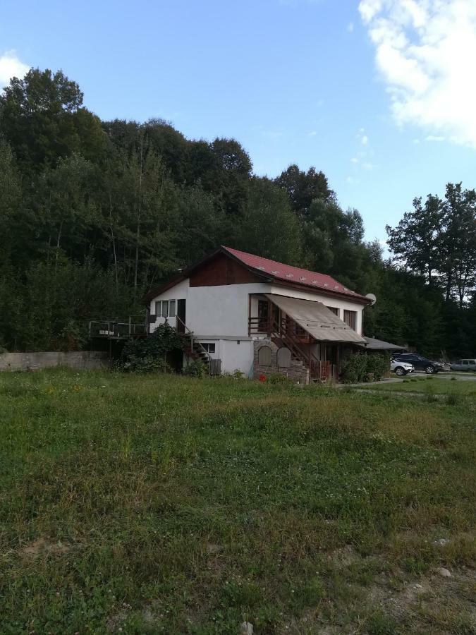 Vila Margareta Curtea de Argeş Exteriör bild