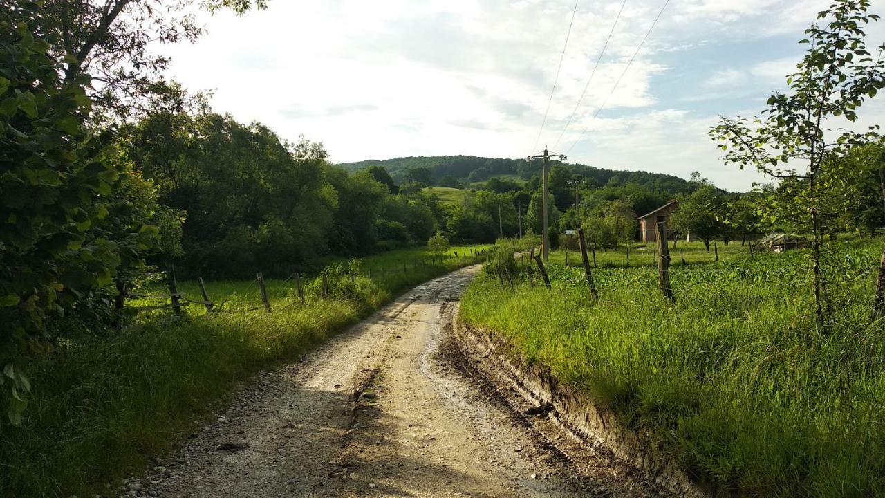 Vila Margareta Curtea de Argeş Exteriör bild